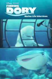 Marine Life Interviews 2016 on netflix