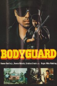 Bodyguard 1989 on netflix