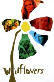 Wildflowers 2000 on netflix