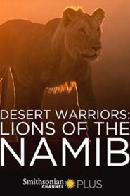 Desert Warriors: Lions of the Namib 2016 on netflix