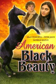 American Black Beauty 2005 on netflix