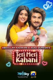 Tere Mere Kahani 2021 on netflix