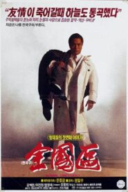 The Nationwide Constituency 1991 on netflix