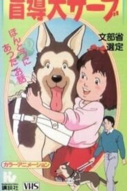 Ganbare! Moudouken Serve 1988 on netflix