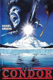 After the Condor 1991 on netflix