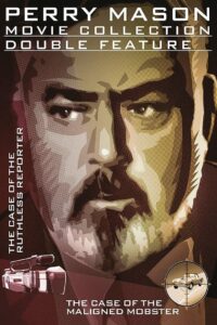 Perry Mason: The Case of the Maligned Mobster 1991 on netflix