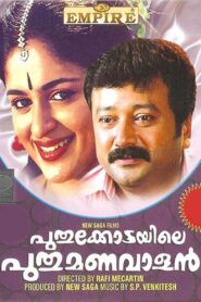 Puthukkottayile Puthumanavalan 1995 on netflix