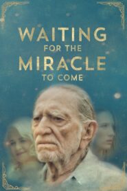 Waiting for the Miracle to Come 2019 on netflix