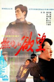 燃烧的欲望 1996 on netflix