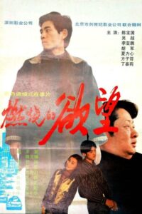 燃烧的欲望 1996 on netflix