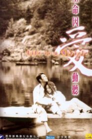 Life Is a Miracle 2001 on netflix