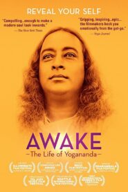 Awake: The Life of Yogananda 2014 on netflix
