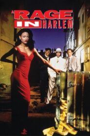 A Rage in Harlem 1991 on netflix