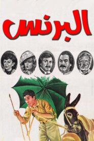 Albarnas 1984 on netflix