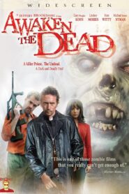 Awaken the Dead 2007 on netflix