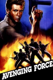 Avenging Force 1986 on netflix