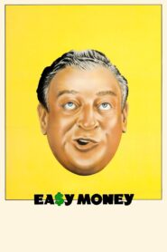 Easy Money 1983 on netflix
