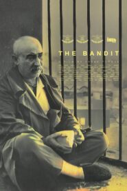 The Bandit 1996 on netflix