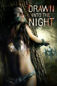 Drawn Into the Night 2022 on netflix