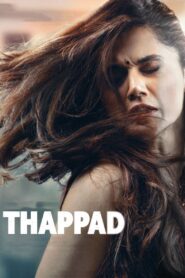 Thappad 2020 on netflix