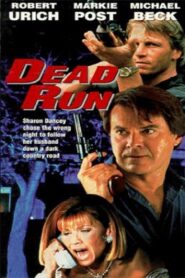 Stranger at My Door 1991 on netflix