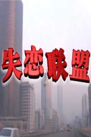 失恋联盟 2004 on netflix
