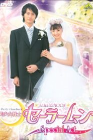 Pretty Guardian Sailor Moon Special Act: We’re Getting Married!！ 2004 on netflix
