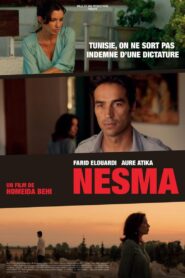 Nesma 2013 on netflix