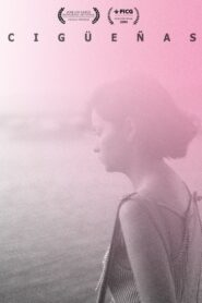 Cigüeñas 2018 on netflix