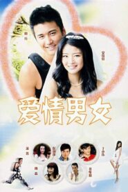 爱情男女 2006 on netflix