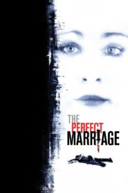 The Perfect Marriage 2006 on netflix