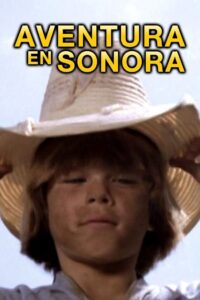 Tetakawi 1980 on netflix