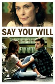 Say You Will 2017 on netflix