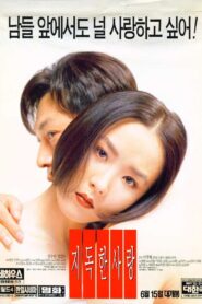 Their Last Love Affair 1996 on netflix