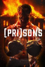 Carnage 2024 on netflix