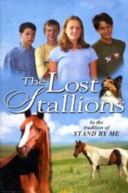 The Lost Stallions 2003 on netflix