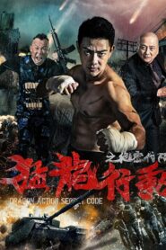Dragon Action: Secret Code 2019 on netflix