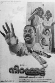 Nirakkoottu 1985 on netflix