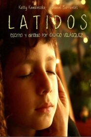 Heartbeats 2013 on netflix