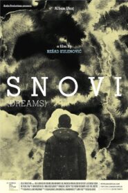 Dreams 2010 on netflix