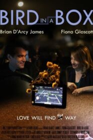 Bird in a Box 2012 on netflix