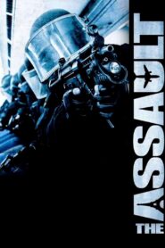 The Assault 2011 on netflix