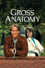 Gross Anatomy 1989 on netflix