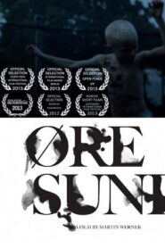 Øresund 2012 on netflix