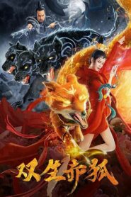 Twin Red Foxes 2020 on netflix