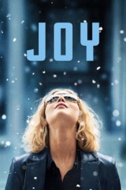 Joy 2015 on netflix
