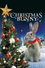 The Christmas Bunny 2010 on netflix
