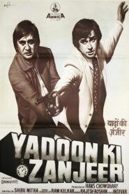 Yaadon Ki Zanjeer 1984 on netflix