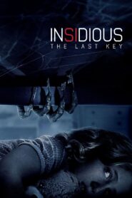 Insidious: The Last Key 2018 on netflix