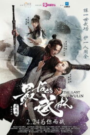 The Last Wulin 2017 on netflix